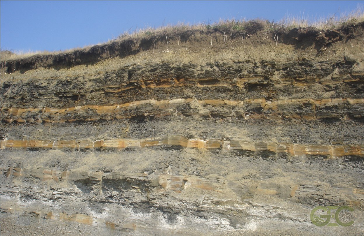 Close-up of layered sedimentary rock strata